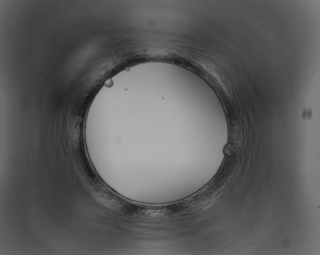 X0000089410495200707131804