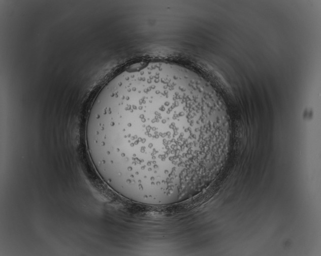 X0000089410496200707131804