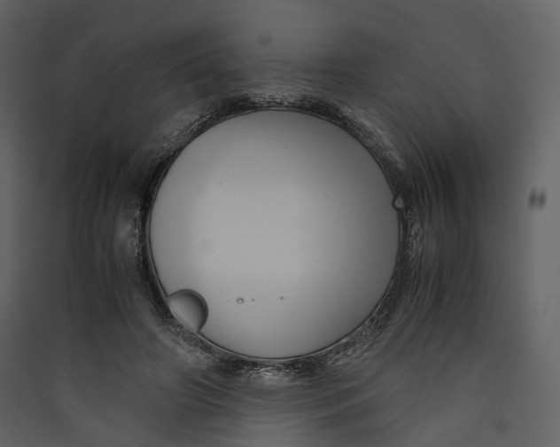 X0000089410498200707131804