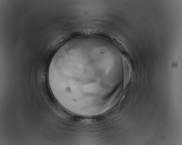 X0000089410499200707131804