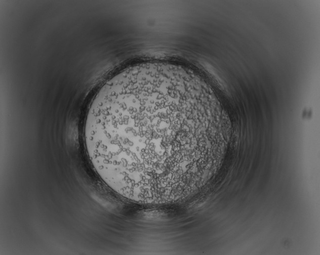 X0000089410500200707131804