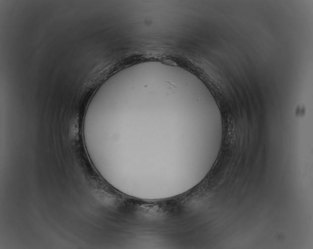 X0000089410502200707131804