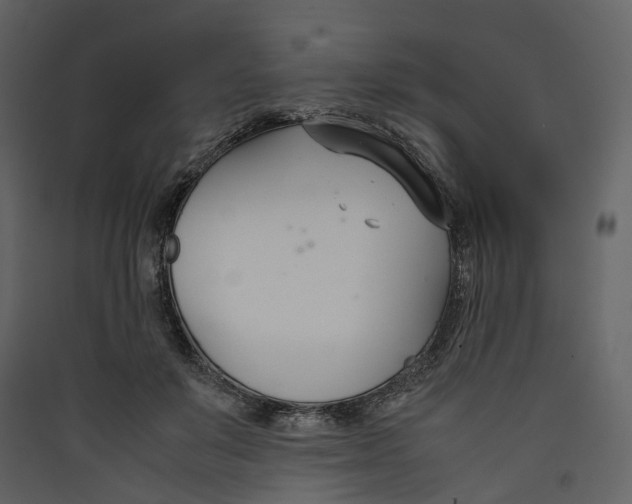 X0000089410503200707131804