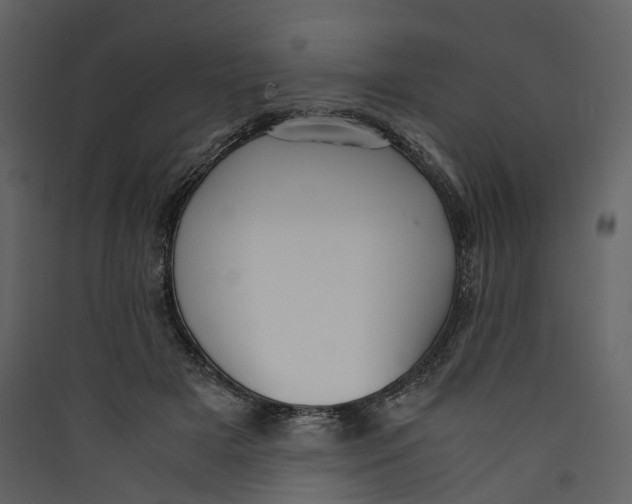 X0000089410505200707131804