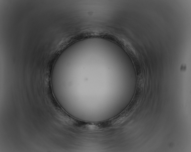 X0000089410509200707131804