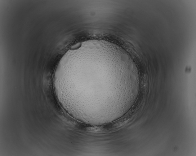 X0000089410511200707131804