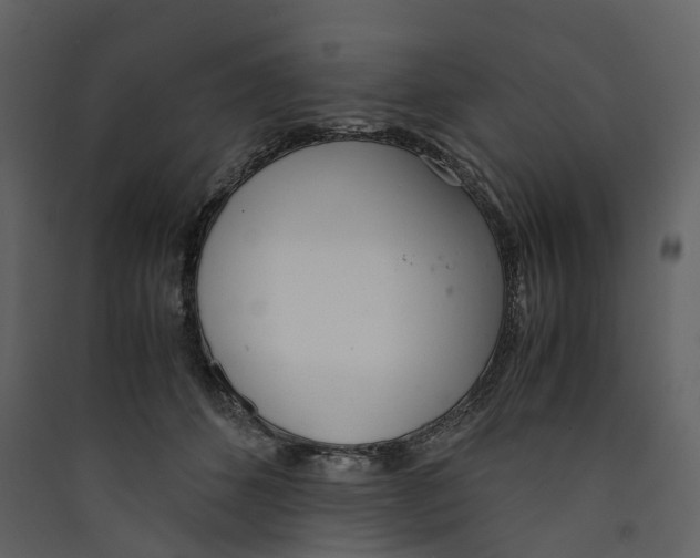 X0000089410512200707131804