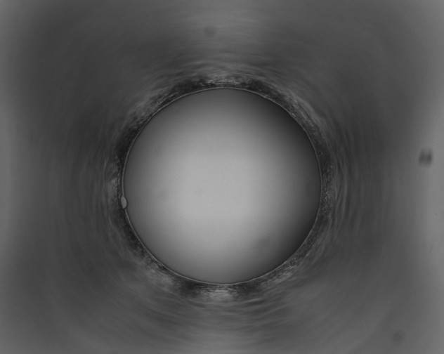 X0000089410513200707131803