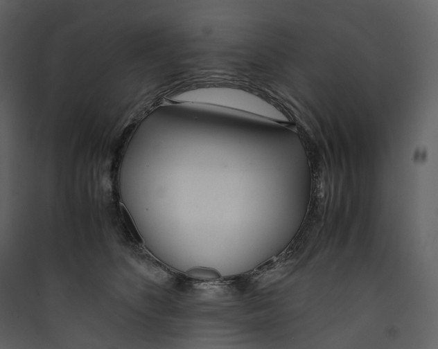 X0000089410516200707131803