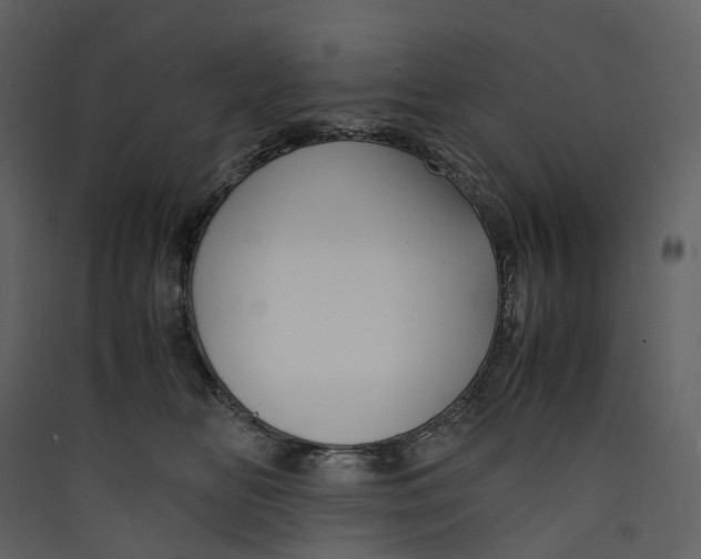 X0000089410518200707131803