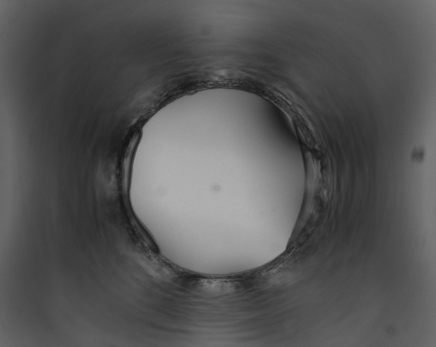 X0000089410520200707131803