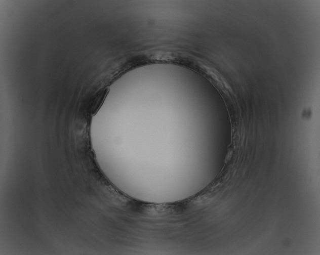 X0000089410521200707131803