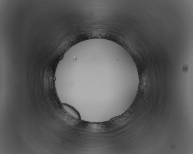 X0000089410522200707131803