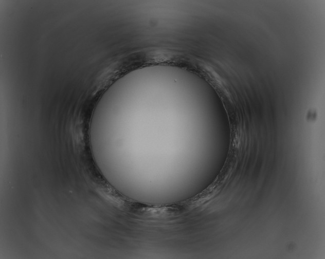 X0000089410524200707131803