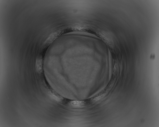 X0000089410526200707131803