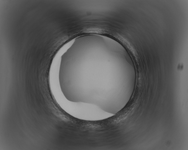 X0000089410529200707131803