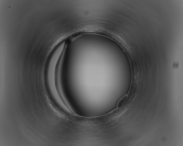 X0000089410530200707131803