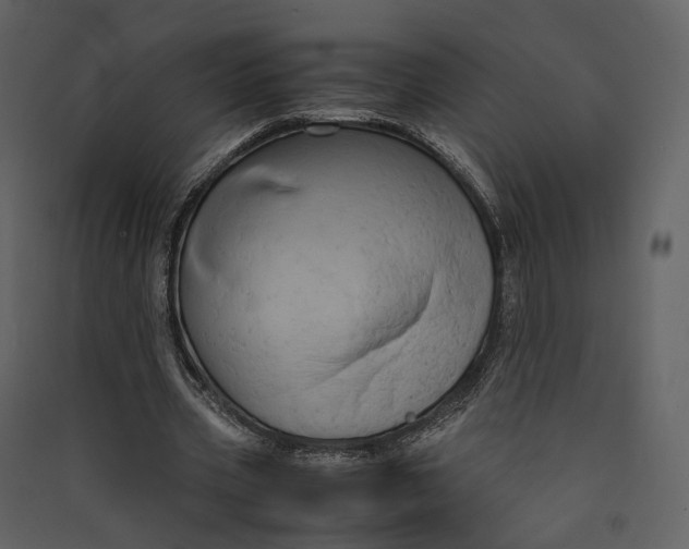 X0000089410533200707131803