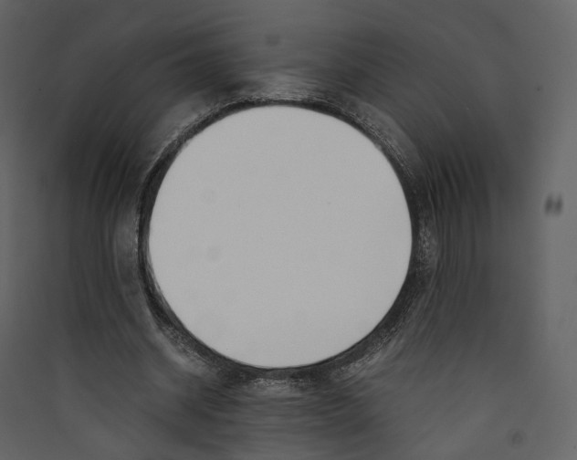 X0000089410534200707131803
