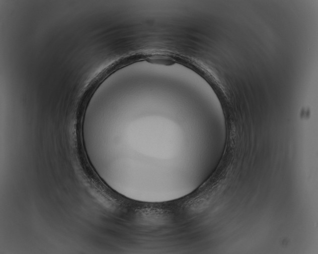 X0000089410535200707131803