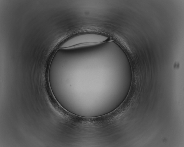 X0000089410538200707131803