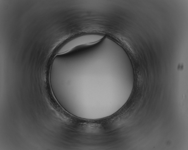 X0000089410539200707131803