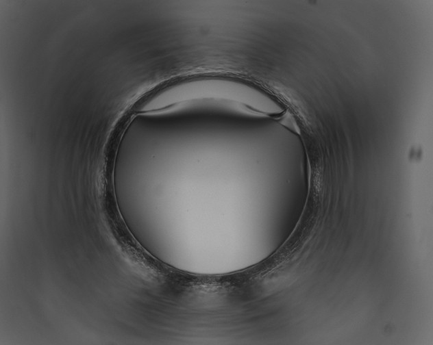 X0000089410540200707131803