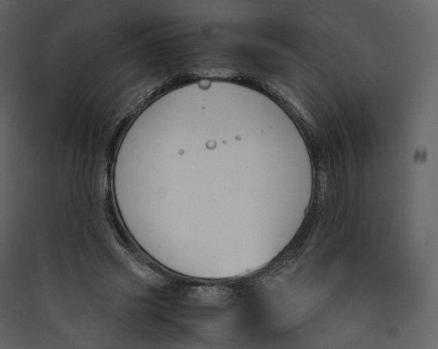 X0000089410541200707131803