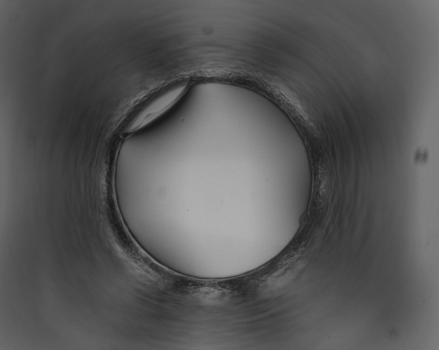 X0000089410542200707131803