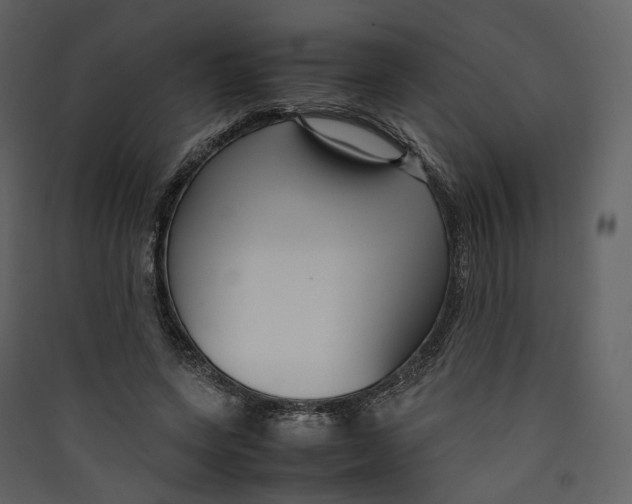 X0000089410543200707131803
