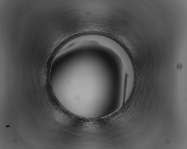 X0000089410544200707131803
