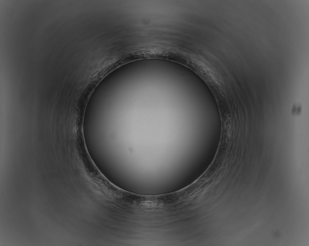 X0000089410546200707131803