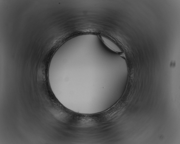 X0000089410547200707131803
