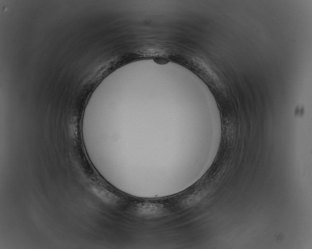 X0000089410549200707131803