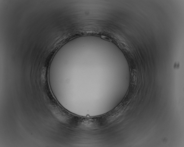 X0000089410550200707131803