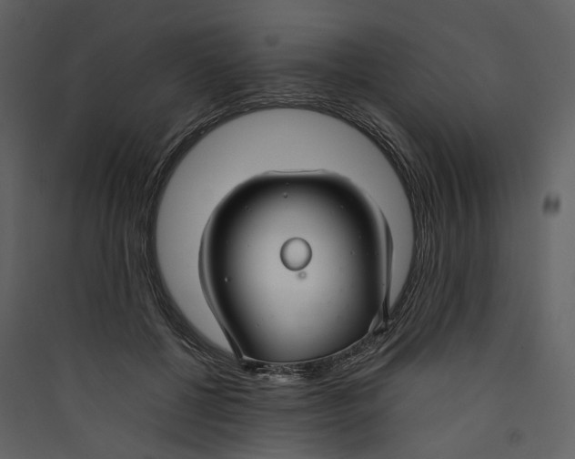 X0000089410552200707131803