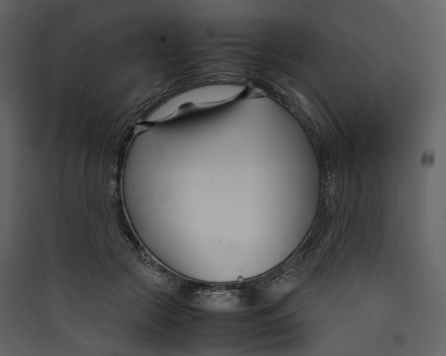 X0000089410553200707131803