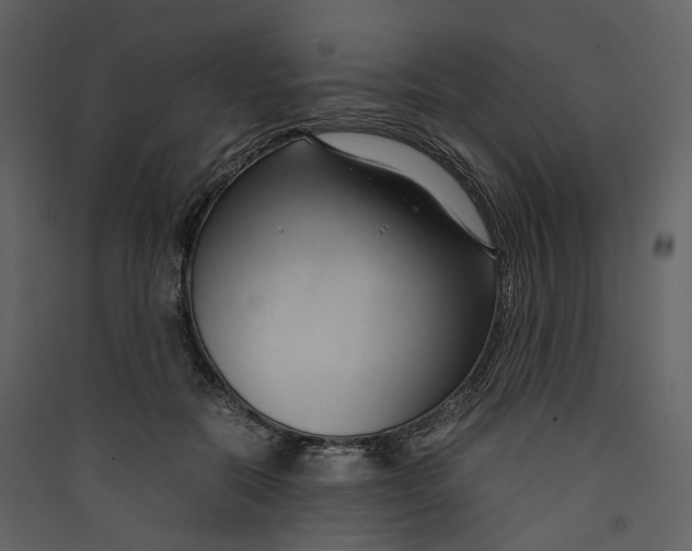 X0000089410554200707131803