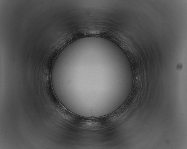 X0000089410555200707131803