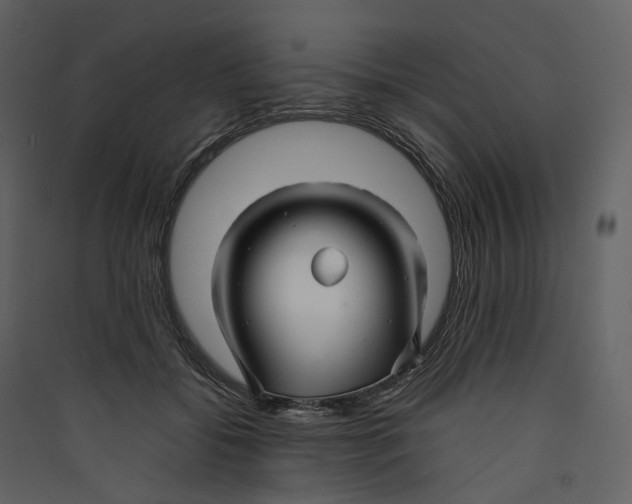 X0000089410556200707131803