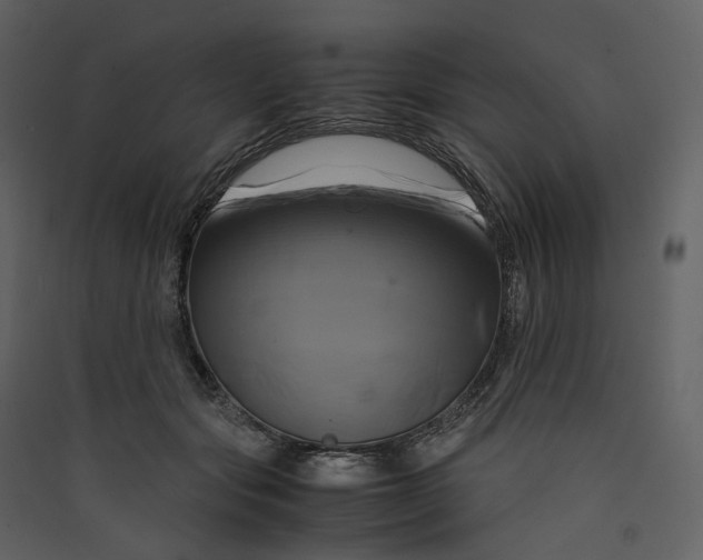 X0000089410557200707131803