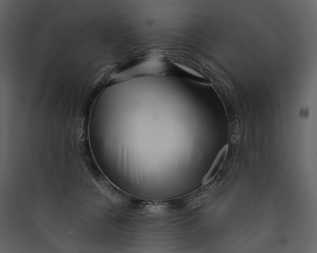 X0000089410560200707131803