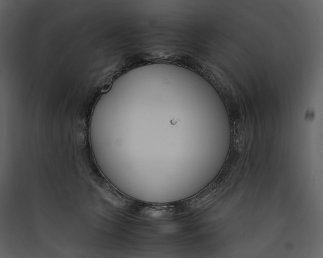 X0000089410563200707131803
