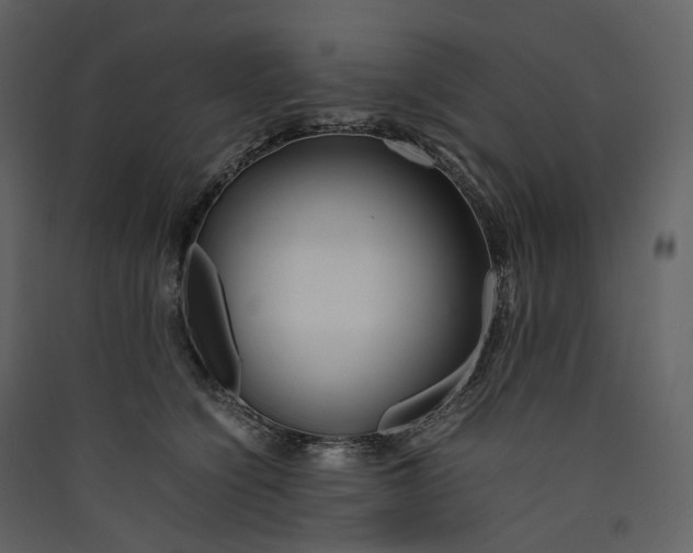 X0000089410564200707131803