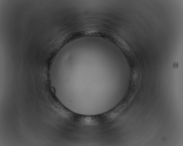 X0000089410565200707131803