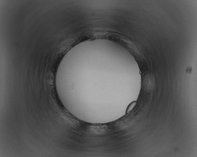 X0000089410571200707131803