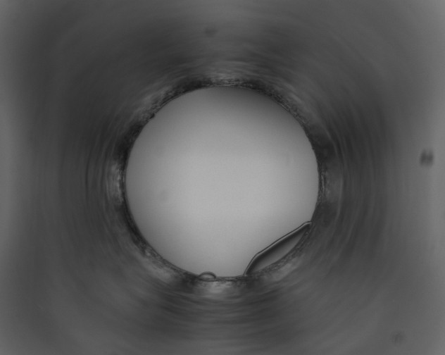 X0000089410575200707131803