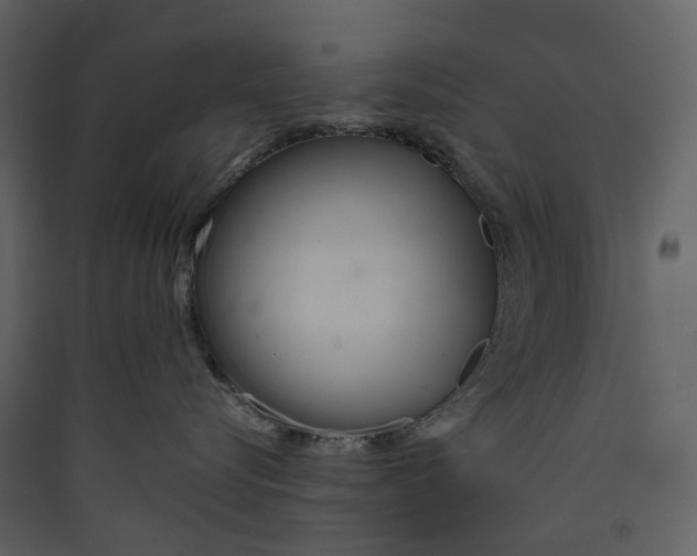 X0000089410576200707131803