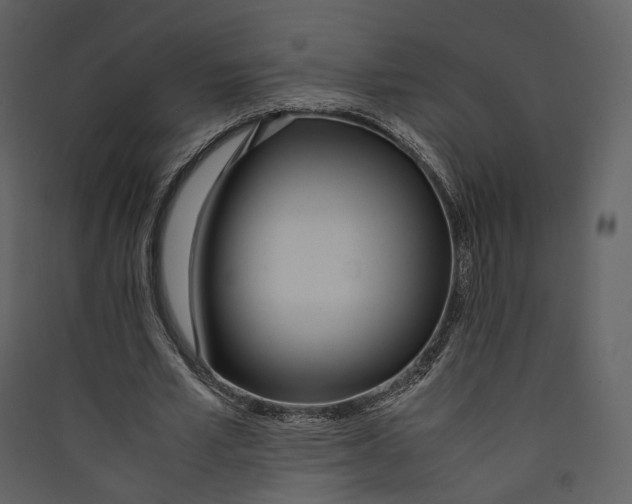 X0000089410581200707131803