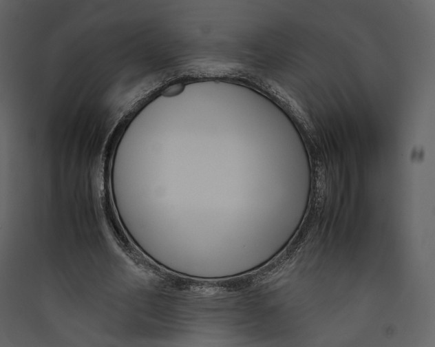 X0000089410582200707131803